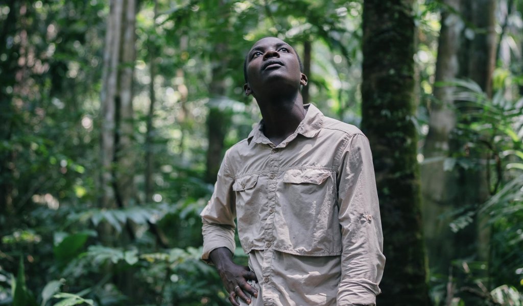 Hiker standing in a lush forest on Príncipe Island, looking upwards