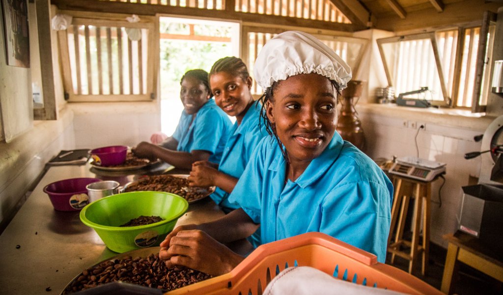 Employees at Roça Paciência working with cacao