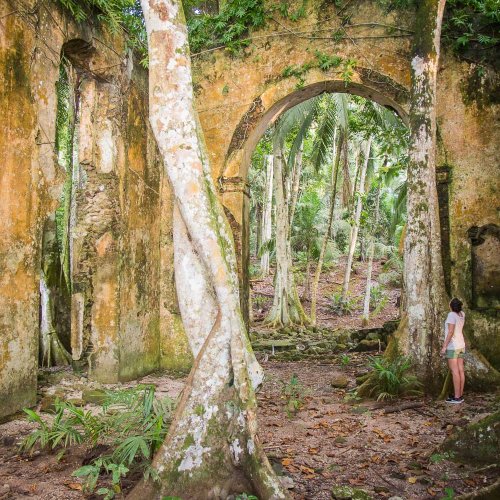 Trilha mística através da densa floresta na Ilha do Príncipe.