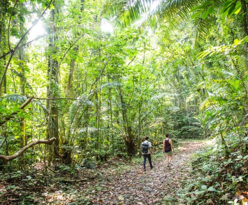 Two hikers in a lush jungle on Príncipe Island